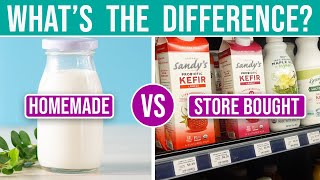 HOMEMADE KEFIR vs STORE BOUGHT KEFIR • Are you being misled [upl. by Lemyt]