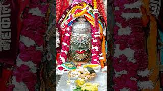 Me Bhola Parvat Ka mahadev jai mahakal love jaishreeram bholenath youtubeshorts viralvideo [upl. by Ahtibbat573]