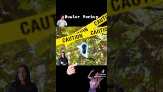 EXTREME Close Call with a Howler Monkey in Costa Rica [upl. by Karil]