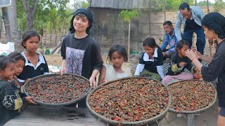 Forest Feast SunDried Clams amp Weaver Ants in Our Childrens Village [upl. by Bristow]