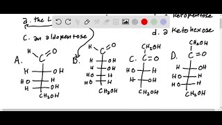 Identify the Fischer projection 𝐀 to 𝐃 that matches each of the following 131… [upl. by Kcinom339]