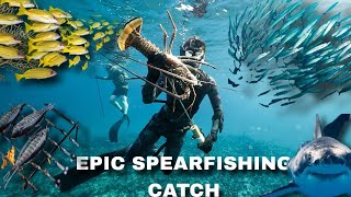 The Most Epic Spearfishing Adventure in Jamaica [upl. by Kassity]