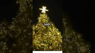 HOLLO STAR 6ft PreLit Christmas Tree with AppControlled RGB Lights 270 LEDs 1072 Branch Tips [upl. by Odlaumor]