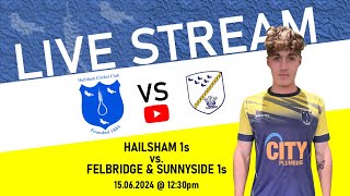 LIVE Hailsham V Ostend Exiles Cricket Week 2024 [upl. by Hamlani]