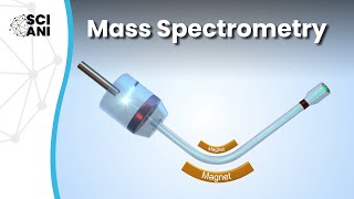 How does mass spectrometry work [upl. by Lyris481]