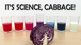 EXPERIMENT DIY PH indicator from red cabbage  What the Hack 22 [upl. by Leidgam]