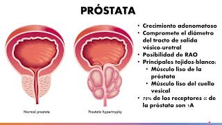 Farmacología del sistema adrenérgico Parte 33  Dr Martín Hornos [upl. by Yknarf862]