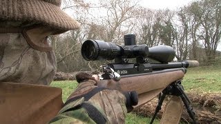 The Airgun Show  rabbit hunting and the iconic Weihrauch HW77 [upl. by Inacana]