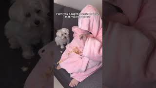 Look at this popcorn hoodie 🥹🍿 hoodie shortvideo funny shorts popcorn netflix [upl. by Hogg]