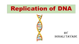 DNA Replication by Sonali Tayade [upl. by Ariahaj]