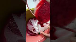 Fresh and Organic Plum Juice Recipe  Juicer amp Blender [upl. by Monteith]