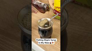 Maple Syrup And Yerba Mate🧉🍁 [upl. by Harned440]