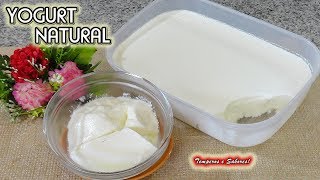 YOGURT NATURAL con sólo 2 ingredientes saludable y súper fácil [upl. by Gladi838]