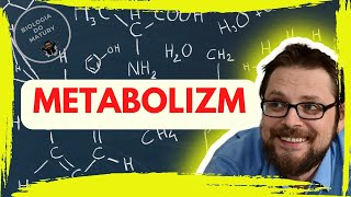 Podstawowe zasady metabolizmu  Szlak cykl metaboliczny  ATP  Anabolizm katabolizm  Redox NAD [upl. by Adirahs703]