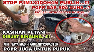 STOP PEMBODOH4N PUBLIK‼️KASIHAN PETANI SELALU DI BODOH ISOLASI NITROBACTER  PGPR DI BILANG KONYOL [upl. by Bartholomeo464]