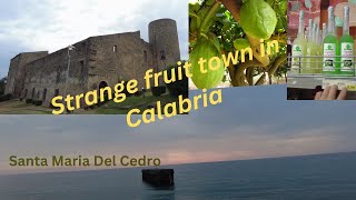 Santa Maria Del Cedro The town of the fruit southern Italy [upl. by Mcclary]