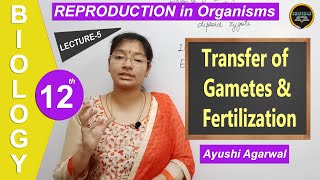 Lecture 5 Class 12th Biology Transfer of Gametes and Fertilization  By Ayushi Agarwal  SJ [upl. by Lewak491]