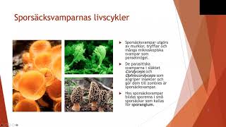 Livscykler hos svampar  Biologi 2 100 p [upl. by Athalie249]