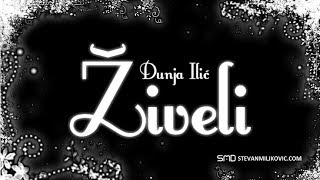 Dunja Ilic  Ziveli Official Lyrics Video [upl. by Nale]