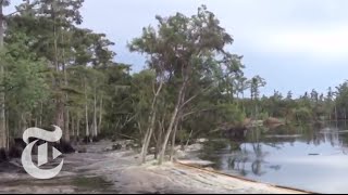 Sinkhole in Louisiana Swallows Trees  Caught on Tape 2013  The New York Times [upl. by Nilam]