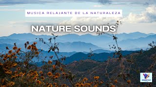 MUSICA DE LA NATURALEZA CON SONIDOS DE AGUA Y PAJAROS 💧💧RELAXING MUSIC NATURE SOUNDS AND ANIMALS [upl. by Wooster]