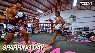 Pro Boxing Vs Muay Thai Sparring  Superlek Vs Sangarthitt  YOKKAO Training Center [upl. by Auod485]