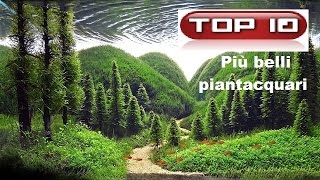 Top 10 acquari dolci spettacolari 🐠 [upl. by Arakal5]