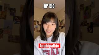 AP Bio Part 14 Amphipathic ⚛️🧪apbio apbiology biology biochemistry science [upl. by Adiela]