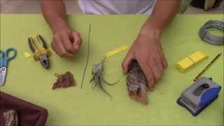 How to attach Tillandsias Planta Brutt Video 14 [upl. by Glennis751]