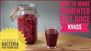 How to make fermented beet kvass friendly bacteria for your gut [upl. by Neened]