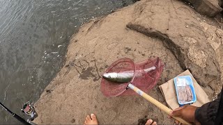 OIOBonefish Hunting  Power Plant  Fishing Hawaii [upl. by Ephrem510]