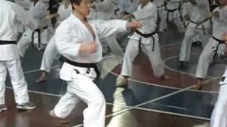 CURSO SENSEI KAGAWA BRASIL 2 [upl. by Blancha]