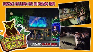 Surabaya Night Zoo I Sensasi Keliling Kebun Binatang Surabaya di Malam Hari I Update Tahun 2023 [upl. by Orran]