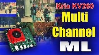 Kria Kv260 Multichannel ML Stream [upl. by Aldus]