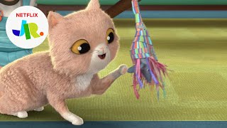 Pet’s amp Animals Rock😻 Ada Twist Scientist  Netflix Jr [upl. by Huba740]