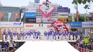 4K 学生合同なぶら 高知よさこい祭り 2024 土佐学生よさこい大会 [upl. by Kayle]