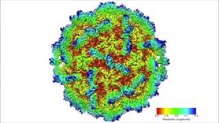 Structure of the Macrobrachium rosenbergii nodavirus A new genus within the Nodaviridae [upl. by Edge179]