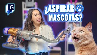 Aspiradora DYSON V12 ¿la SOLUCIÓN a los PELOS de tus MASCOTAS  GEEK HUNTERS [upl. by Onilegna19]