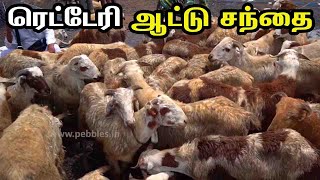 ரெட்டேரி ஆட்டு சந்தை  Retteri Goat Market  Chennai Bakrid Goat Market  Aatu santhai [upl. by Ytsihc]