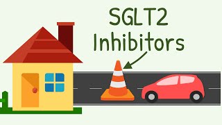 SGLT2 inhibitor Anti diabetic drugs Full explanation in hindi [upl. by Ramas994]