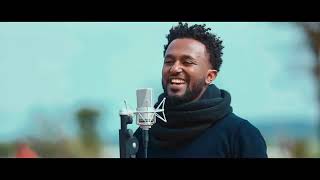 ትዝታዬ ነህ Ephrem Alemu New TIZITAYE NEHE Official Video 2019 [upl. by Nyrroc]