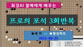 절예에게 배우는 프로의 포석 3회반복 셰커 vs 왕싱하오 제6기 예후바둑 인기쟁패전 준결승 [upl. by Llerruj492]