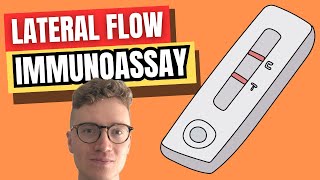 Lateral Flow Immunoassay LFIA EXPLAINED [upl. by Hurless263]