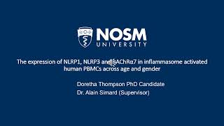 NHRC 2024 Theme 3 The effect of PCF3 DiPP agonism on NLRP3 and NLRP ThompsonD [upl. by Eerok190]