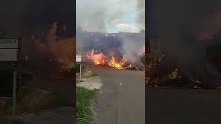 Incendio a Cetraro marina durato più di 6 ore [upl. by Jabe869]