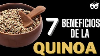 Descubre los 7 Asombrosos BENEFICIOS de la QUINOA para tu Salud y Bienestar [upl. by Yunick]