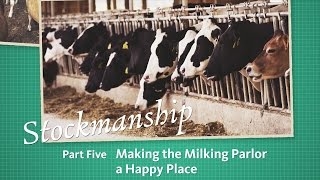 Stockmanship Part 5 Making the Milking Parlor a Happy Place [upl. by Holli]