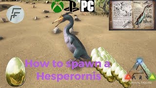 Ark Survival Evolved How to spawn a Hesperornis [upl. by Lothair]