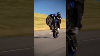 I need to get alone  Yamaha r1 Wheelie blue queen 👑yamahar1 bike bikelover r1 sports r1 rap [upl. by Cimbura]