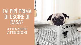 FAI PIPì PRIMA DI USCIRE DI CASA I rischi della pipì preventiva [upl. by Oivaf]